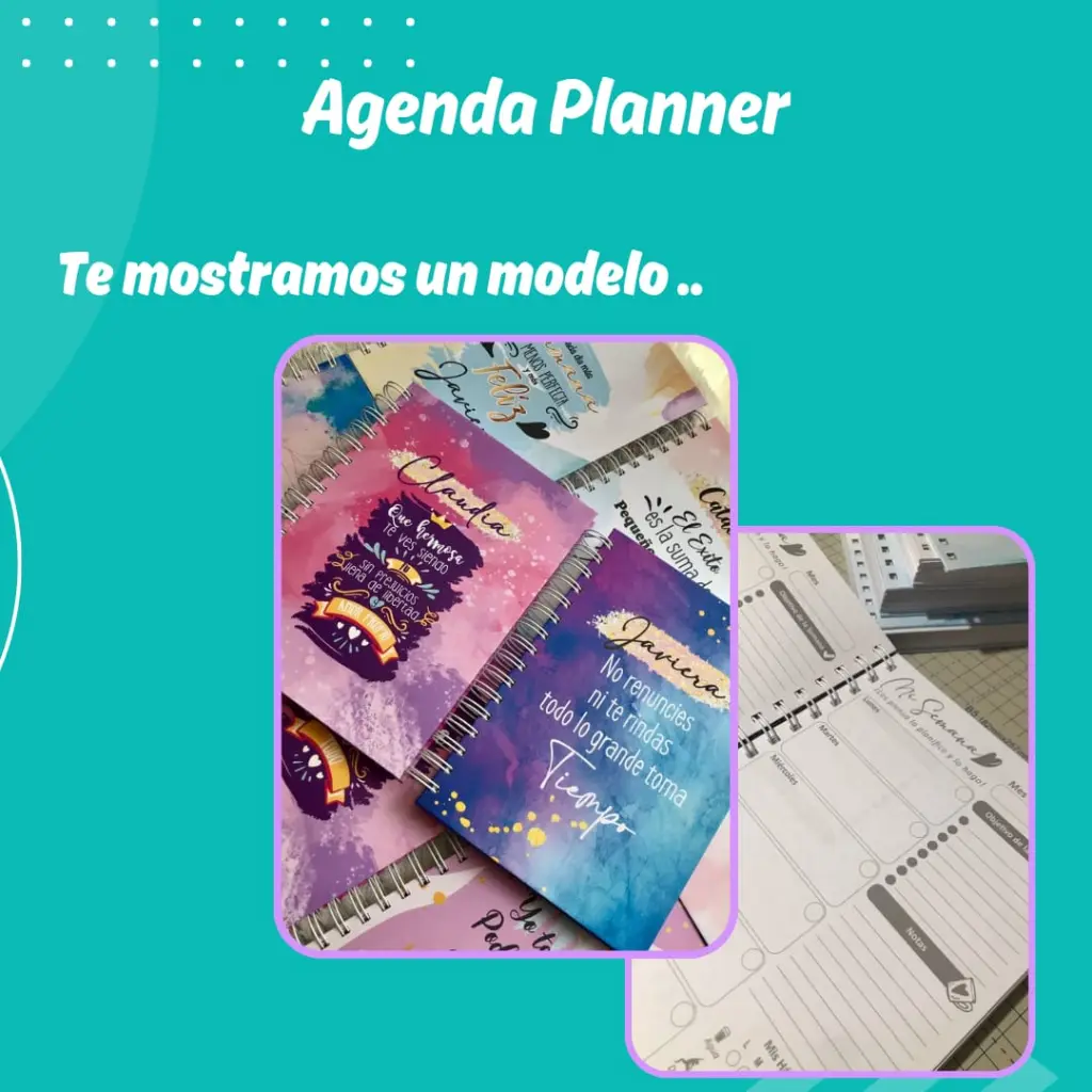 WhatsApp Image 2024-12-30 at 5.17.48 PM (1).webp